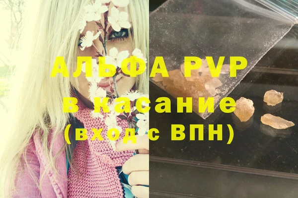 apvp Алзамай