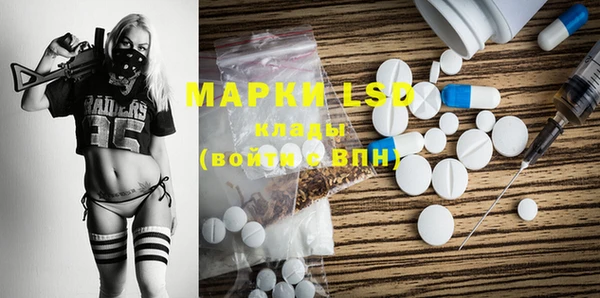apvp Алзамай